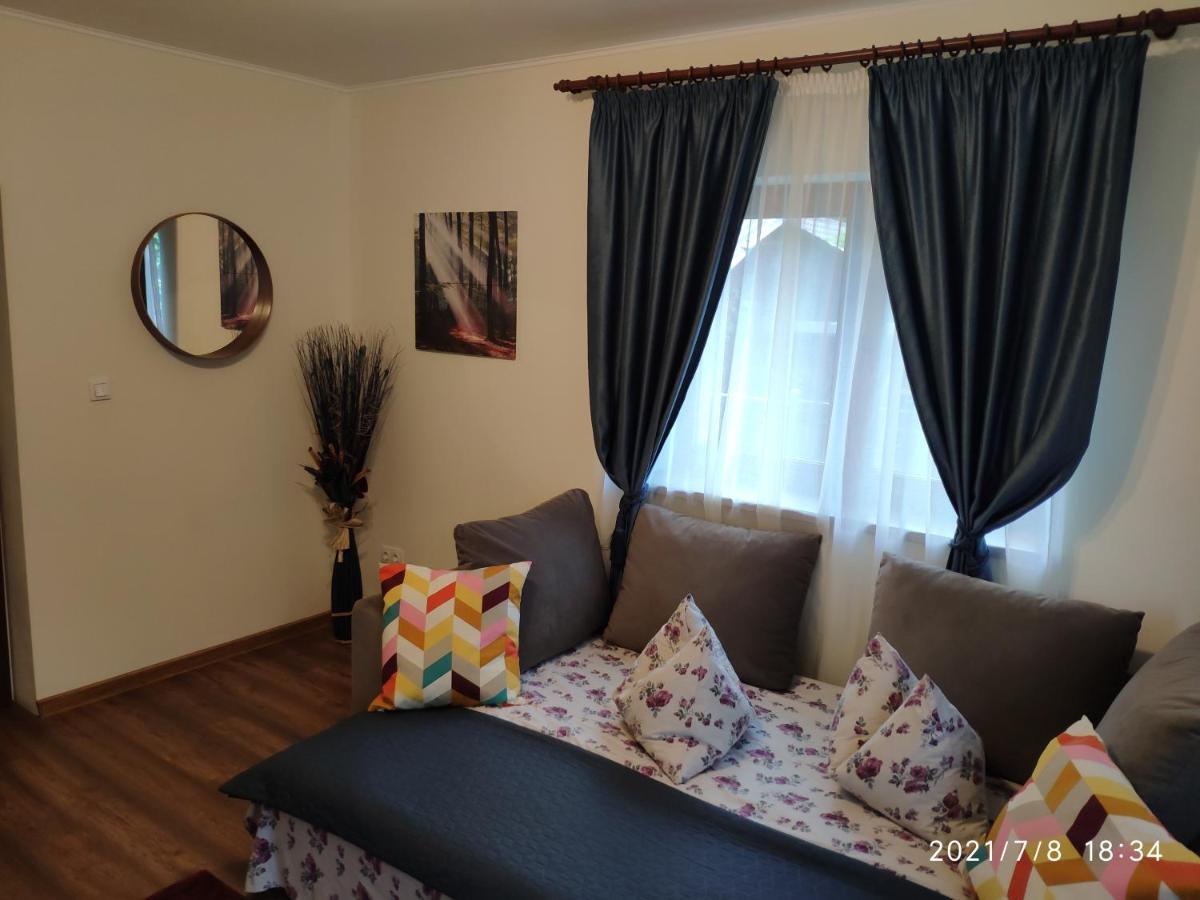 Villa Cozy House Sinaia Extérieur photo